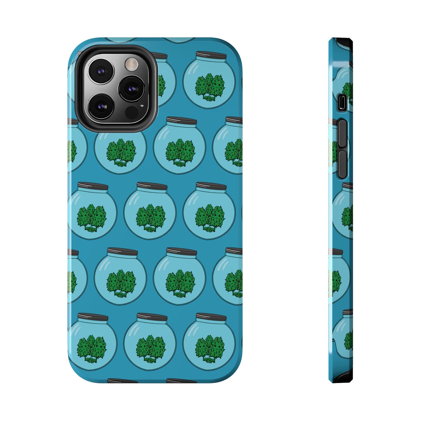 Stash Jar Case