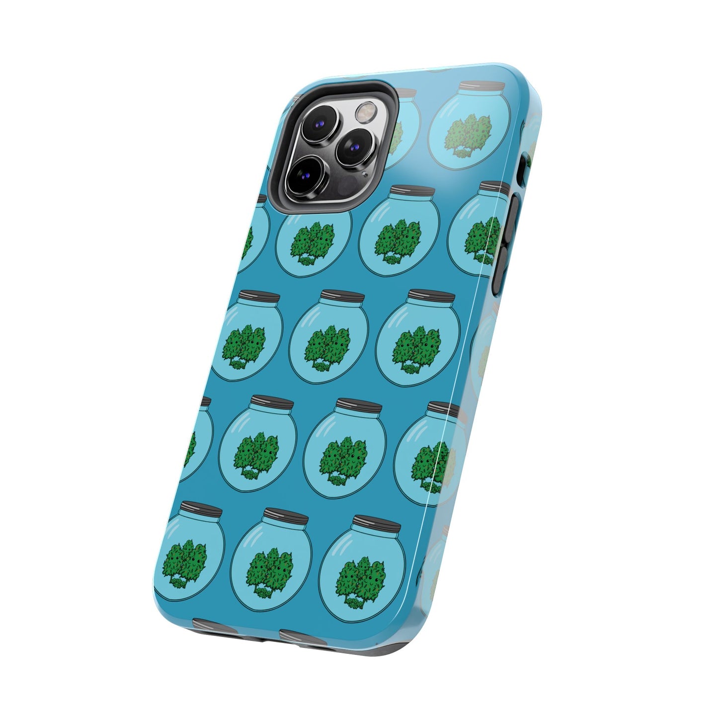 Stash Jar Case