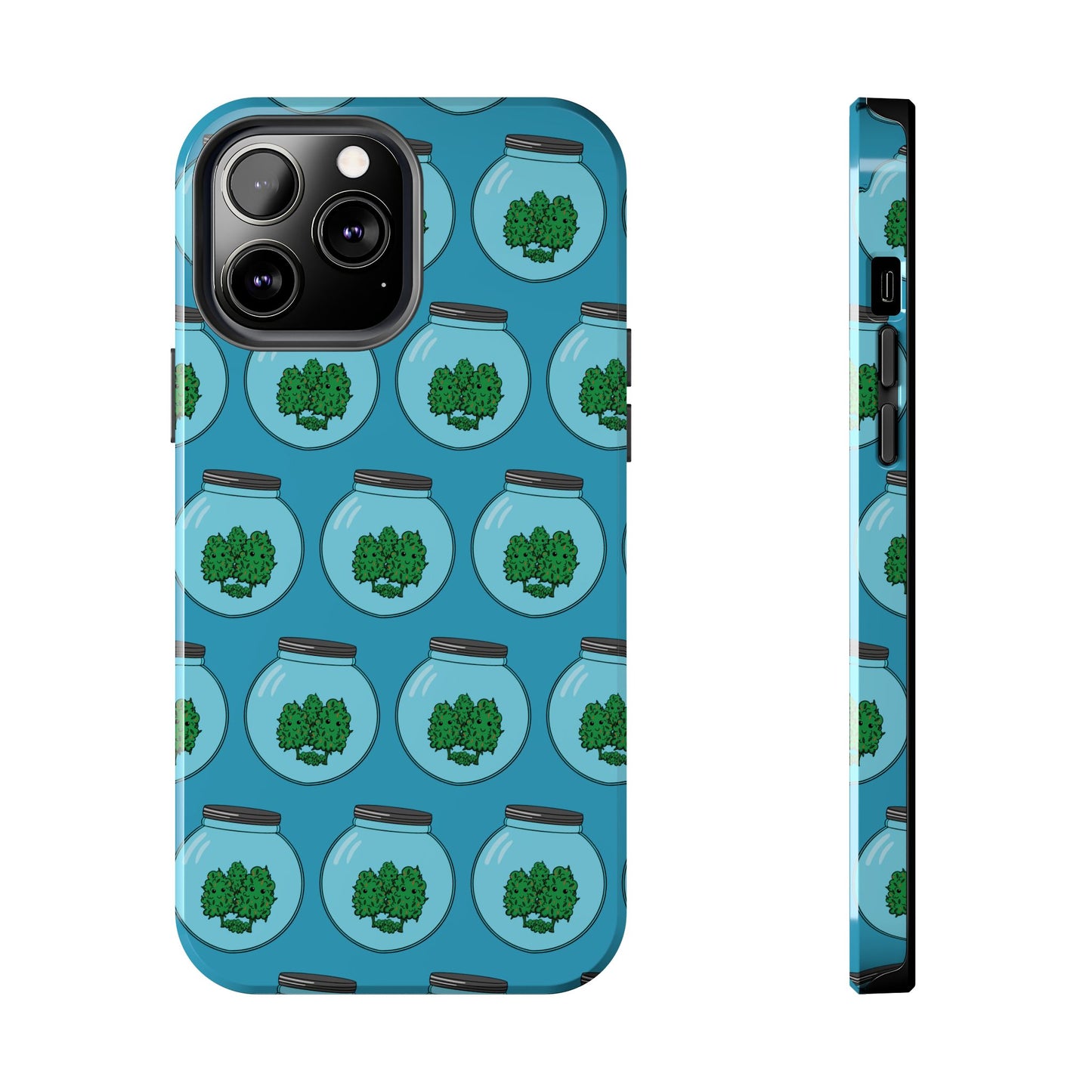 Stash Jar Case