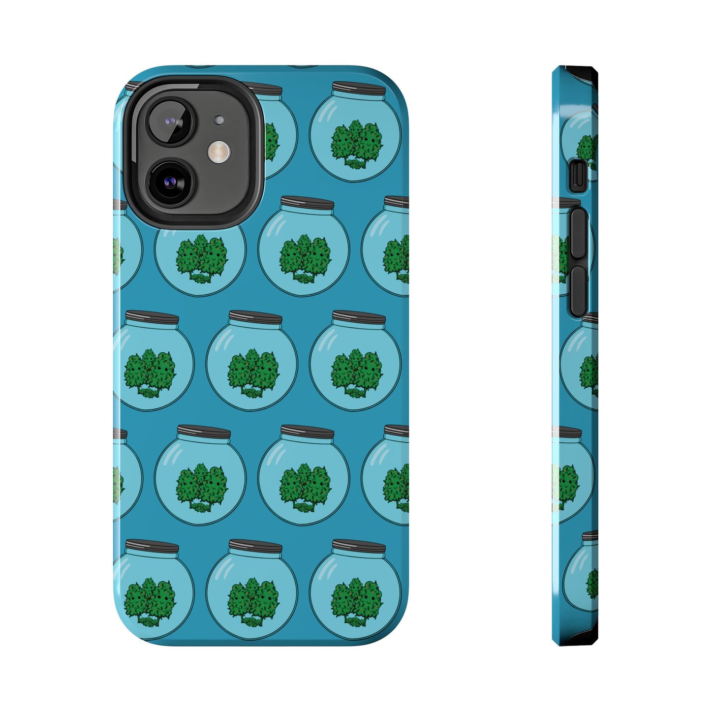 Stash Jar Case